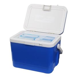 Caja fresca aislada fresca de la fruta de la resina 17L de la categoría alimenticia para la resistencia a la corrosión de las vacunas