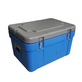 Almuerzan/el transporte conveniente aislado leche y el amontonamiento de la caja fresca
