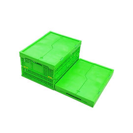 Cajón plegable plástico verde modificado para requisitos particulares Mesh Body de los PP + parte inferior sólida
