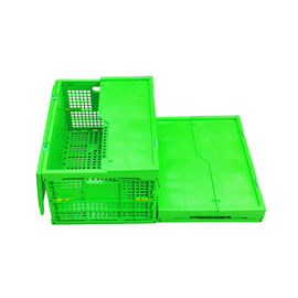 Cajón plegable plástico verde modificado para requisitos particulares Mesh Body de los PP + parte inferior sólida