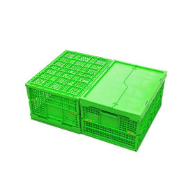 Cajón plegable plástico verde modificado para requisitos particulares Mesh Body de los PP + parte inferior sólida