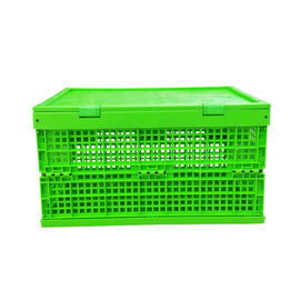 Cajón plegable plástico verde modificado para requisitos particulares Mesh Body de los PP + parte inferior sólida