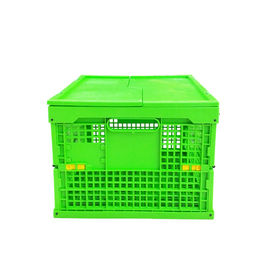 Cajón plegable plástico verde modificado para requisitos particulares Mesh Body de los PP + parte inferior sólida