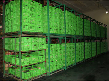 Almacenamiento plegable plástico agrícola 600*400 modificado para requisitos particulares cajón milímetro