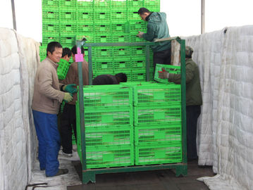 Almacenamiento plegable plástico agrícola 600*400 modificado para requisitos particulares cajón milímetro
