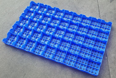 Mesh Floor Plastic Export Pallets que conecta alta capacidad de carga de limpieza fácil