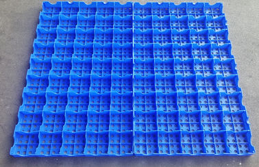 Mesh Floor Plastic Export Pallets que conecta alta capacidad de carga de limpieza fácil