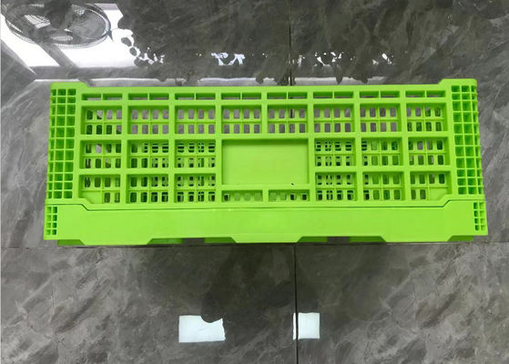 Cajones plásticos plegables del volumen de ventas verde con Mesh Base Light Weight