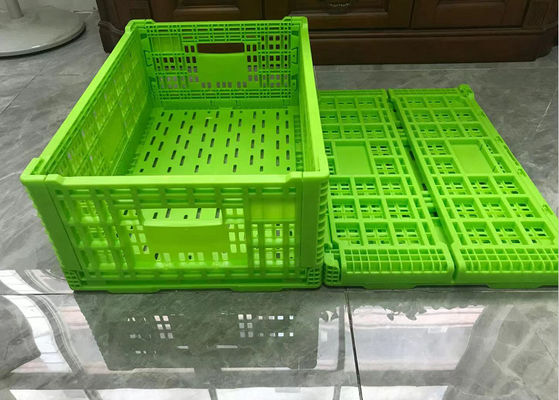 Cajones plásticos plegables del volumen de ventas verde con Mesh Base Light Weight