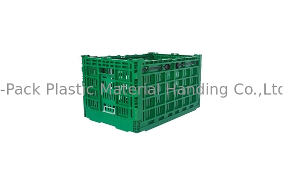 Cajón plástico plegable verde grande de encargo para el material vegetal de los PP de la Virgen de la fruta