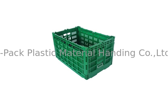 Cajón plástico plegable verde grande de encargo para el material vegetal de los PP de la Virgen de la fruta
